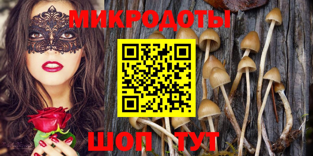 Галлюциногенные грибы Cubensis Кушва