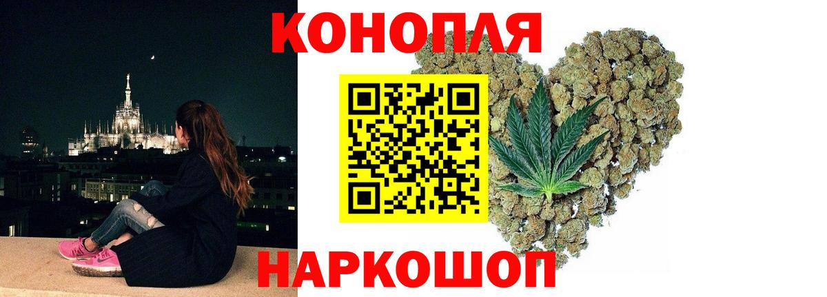 Шишки марихуана семена Кушва